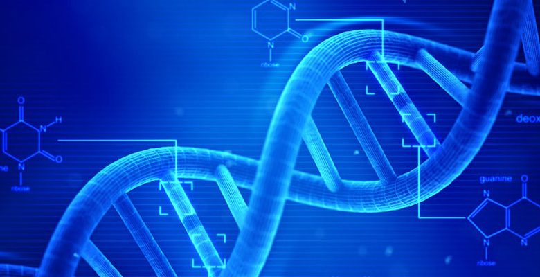 Genetik ve Biyomühendislik