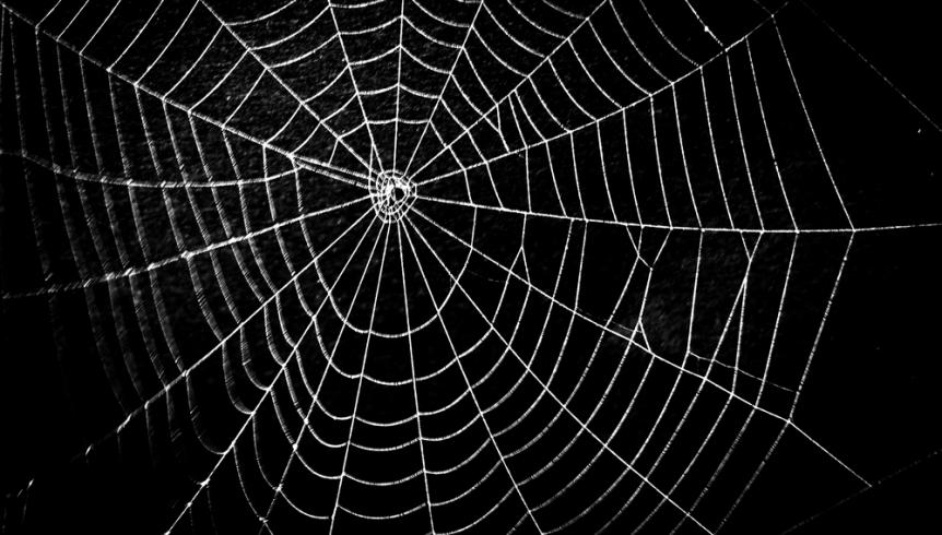 örümcek ağı