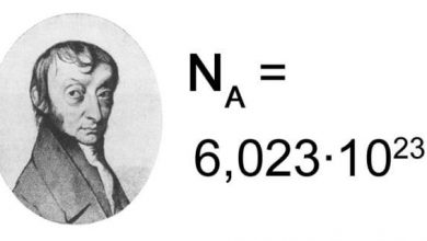 Avogadro Sayısı