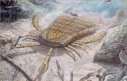 Jaekelopterus