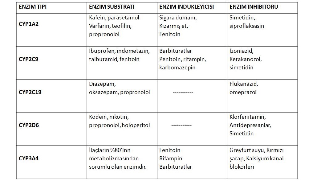 Sitokrom P450 Enzimleri