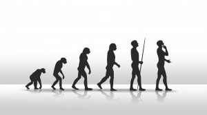 Homo sapiensin evrimi